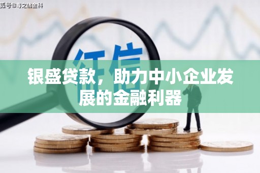 工布江达银盛贷款，助力中小企业发展的金融利器
