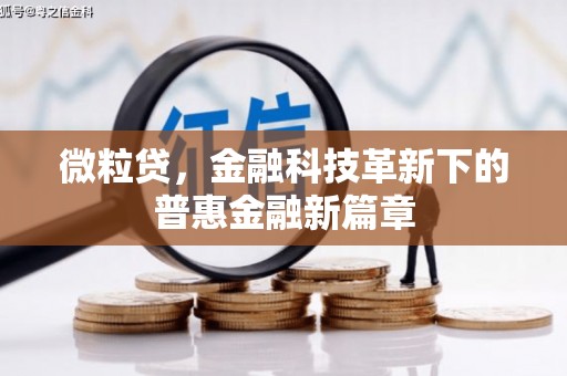 工布江达微粒贷，金融科技革新下的普惠金融新篇章