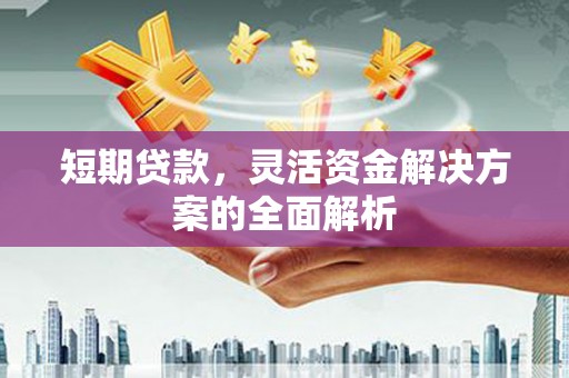工布江达短期贷款，灵活资金解决方案的全面解析