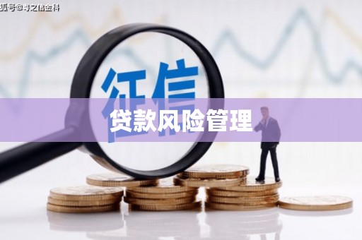 工布江达贷款风险管理