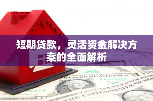 工布江达短期贷款，灵活资金解决方案的全面解析