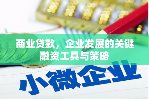 工布江达商业贷款，企业发展的关键融资工具与策略