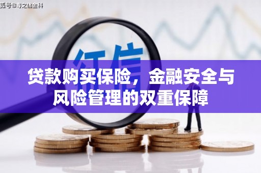 工布江达贷款购买保险，金融安全与风险管理的双重保障