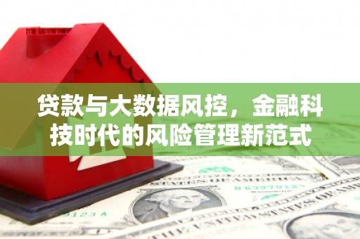 工布江达贷款与大数据风控，金融科技时代的风险管理新范式