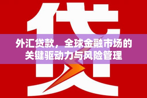 工布江达外汇贷款，全球金融市场的关键驱动力与风险管理