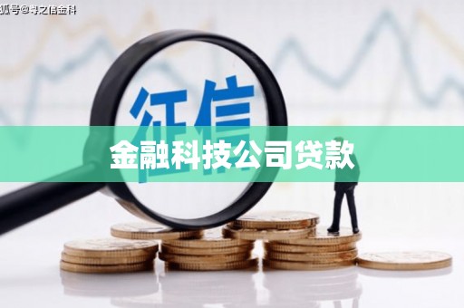 工布江达金融科技公司贷款