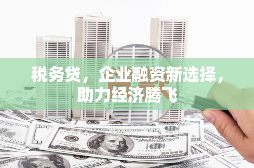 工布江达税务贷，企业融资新选择，助力经济腾飞