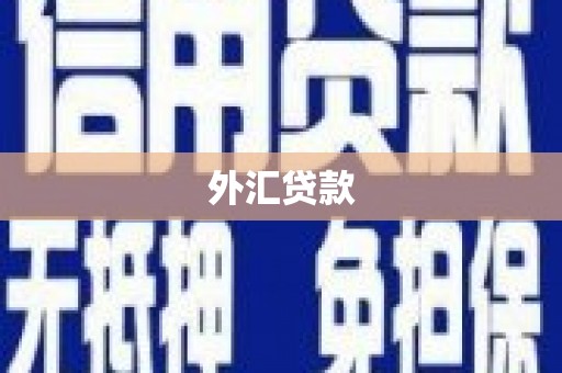 工布江达外汇贷款