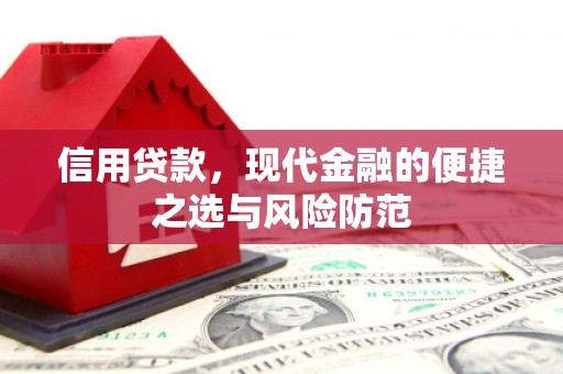 工布江达信用贷款，现代金融的便捷之选与风险防范