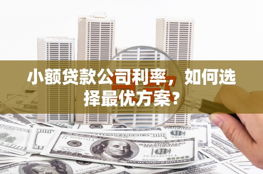 工布江达小额贷款公司利率，如何选择最优方案？