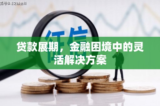 工布江达贷款展期，金融困境中的灵活解决方案