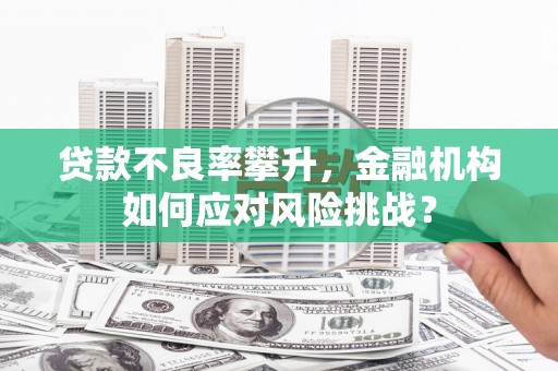 工布江达贷款不良率攀升，金融机构如何应对风险挑战？