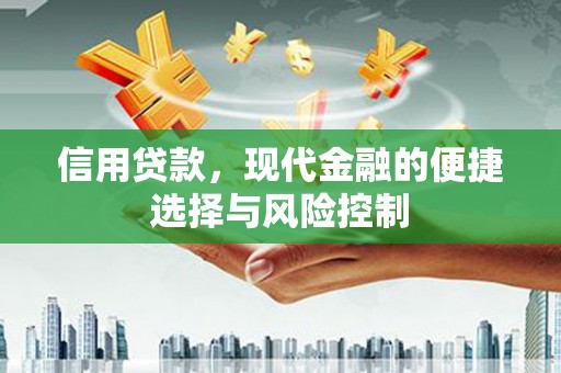 工布江达信用贷款，现代金融的便捷选择与风险控制