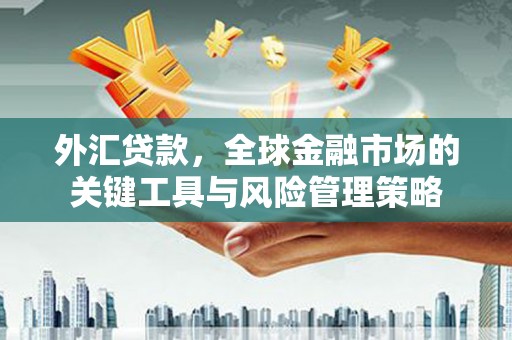 工布江达外汇贷款，全球金融市场的关键工具与风险管理策略