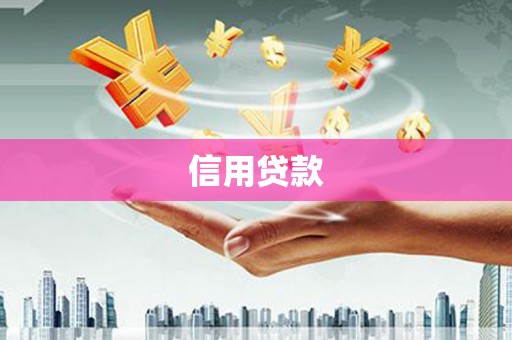 工布江达信用贷款