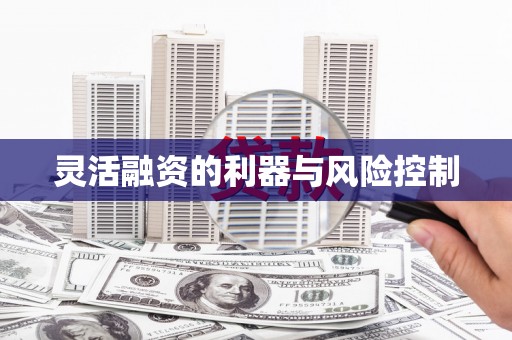 工布江达灵活融资的利器与风险控制