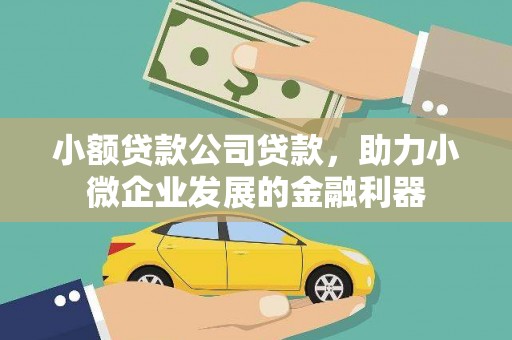 工布江达小额贷款公司贷款，助力小微企业发展的金融利器