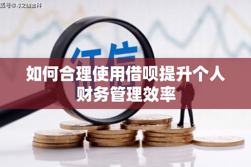 工布江达如何合理使用借呗提升个人财务管理效率