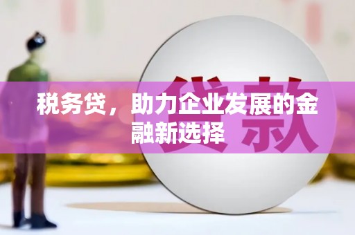 工布江达税务贷，助力企业发展的金融新选择