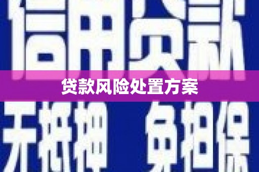 工布江达贷款风险处置方案
