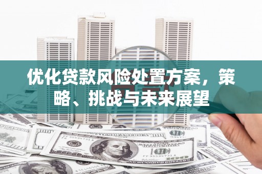 工布江达优化贷款风险处置方案，策略、挑战与未来展望