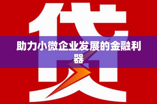 工布江达助力小微企业发展的金融利器