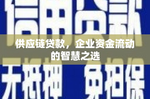 工布江达供应链贷款，企业资金流动的智慧之选