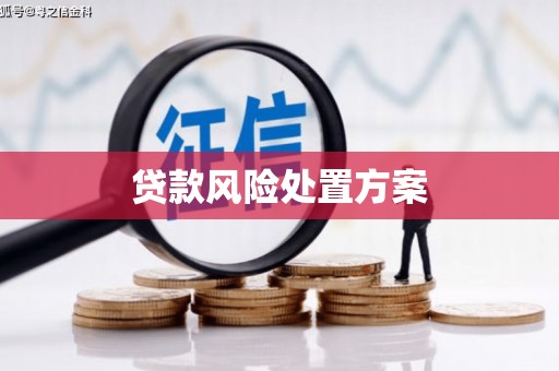 工布江达贷款风险处置方案
