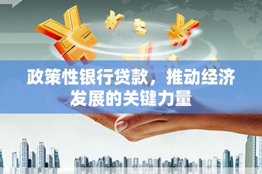 工布江达政策性银行贷款，推动经济发展的关键力量