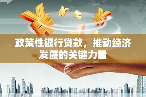 工布江达政策性银行贷款，推动经济发展的关键力量