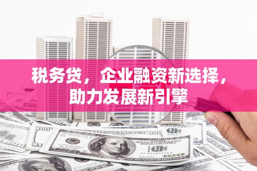 工布江达税务贷，企业融资新选择，助力发展新引擎