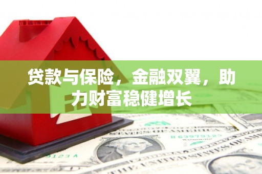工布江达贷款与保险，金融双翼，助力财富稳健增长