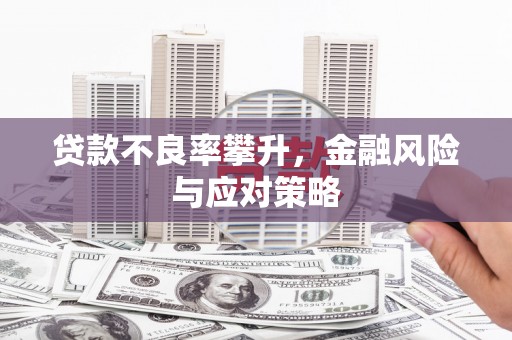 工布江达贷款不良率攀升，金融风险与应对策略