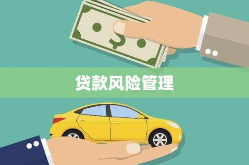 工布江达贷款风险管理