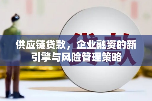 工布江达供应链贷款，企业融资的新引擎与风险管理策略