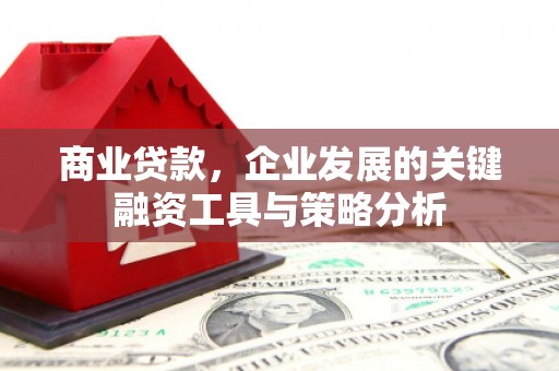 工布江达商业贷款，企业发展的关键融资工具与策略分析