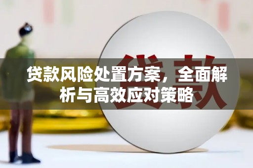 工布江达贷款风险处置方案，全面解析与高效应对策略