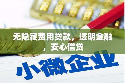 工布江达无隐藏费用贷款，透明金融，安心借贷