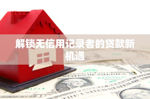 工布江达解锁无信用记录者的贷款新机遇
