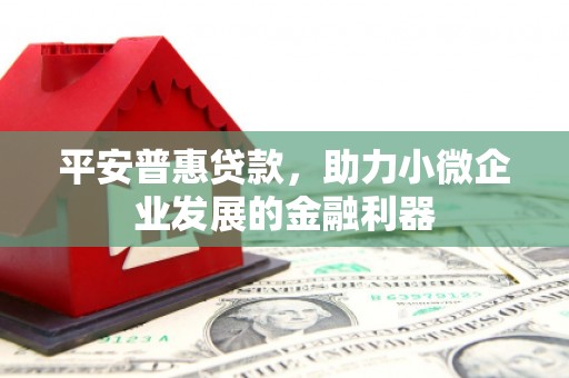 工布江达平安普惠贷款，助力小微企业发展的金融利器