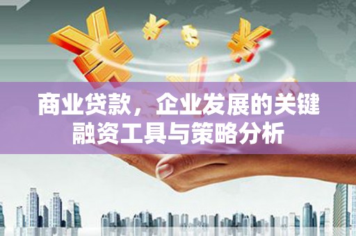 工布江达商业贷款，企业发展的关键融资工具与策略分析