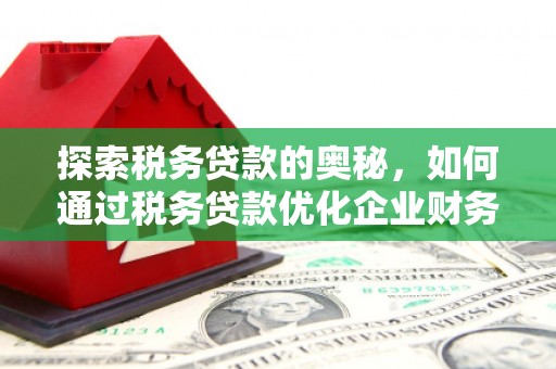 工布江达探索税务贷款的奥秘，如何通过税务贷款优化企业财务