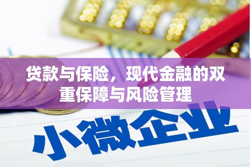 工布江达贷款与保险，现代金融的双重保障与风险管理