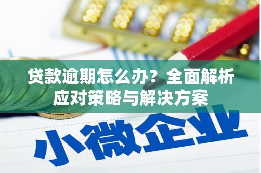 工布江达贷款逾期怎么办？全面解析应对策略与解决方案