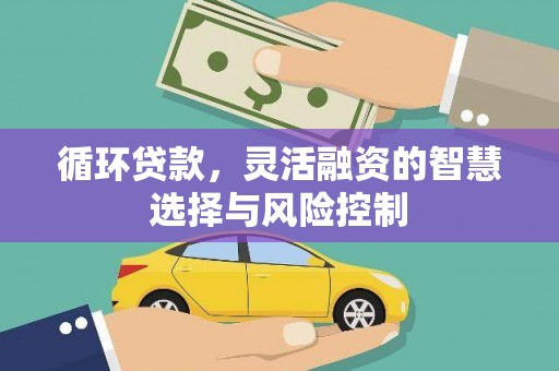工布江达循环贷款，灵活融资的智慧选择与风险控制