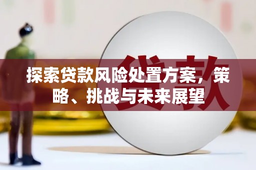 工布江达探索贷款风险处置方案，策略、挑战与未来展望