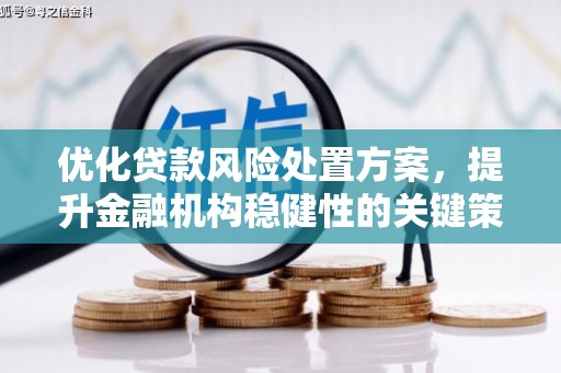工布江达优化贷款风险处置方案，提升金融机构稳健性的关键策略