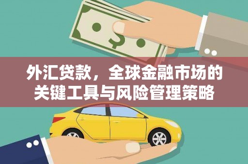 工布江达外汇贷款，全球金融市场的关键工具与风险管理策略