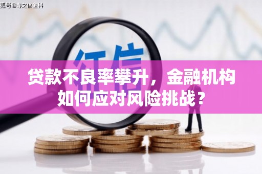 工布江达贷款不良率攀升，金融机构如何应对风险挑战？