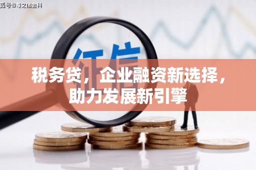 工布江达税务贷，企业融资新选择，助力发展新引擎